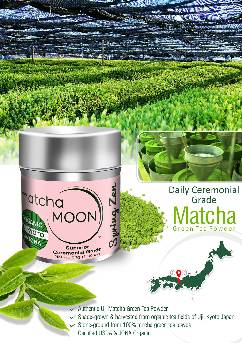 Spring Zen Matcha Green Tea Powder - Benefits